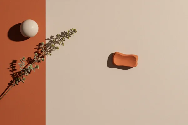 Ethical Beauty: Consumers Pay More in 2026
