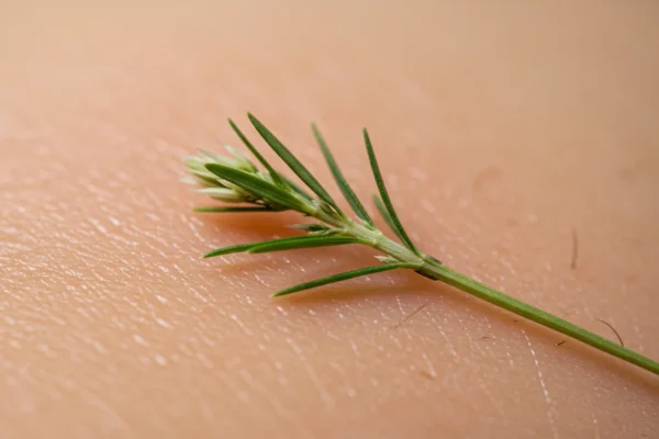 Waxing for Hormonal Balance: 2026 Holistic Health