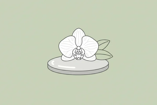 Bridal Beauty: Your 2026 6-Month Confidence Plan