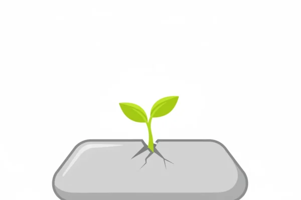Gen Z Wellness: Mindful Spending in 2026