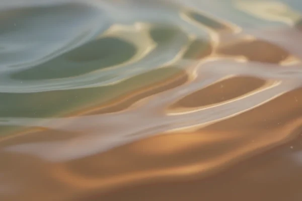 Self-Care Waxing: 2026 Environmental Impact on Results